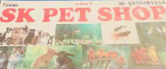 Sk Pet Shop - Khanpur - Delhi Image