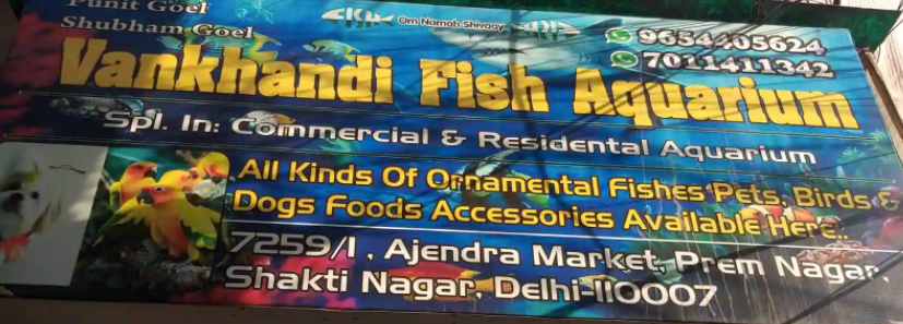 Vankhandi Fish Aquarium - Govindpuri - Delhi Image