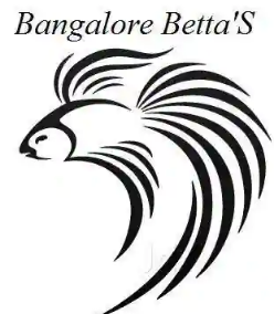 Bengaluru Bettas - BTM Layout - Bengaluru Image