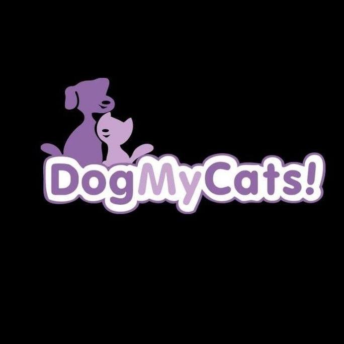 DogMyCats.com - Bellandur - Bengaluru Image