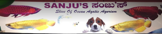 Sanjus Slice Of Ocean Equipments - Koramangala - Bengaluru Image