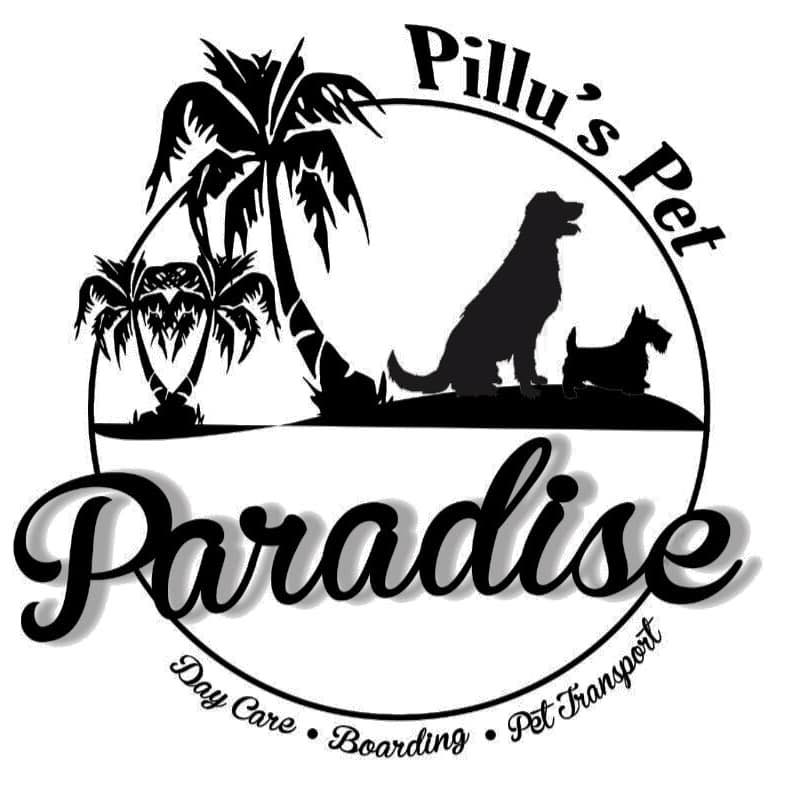 Pillus Pet Paradise The Store - BTS Layout - Bengaluru Image