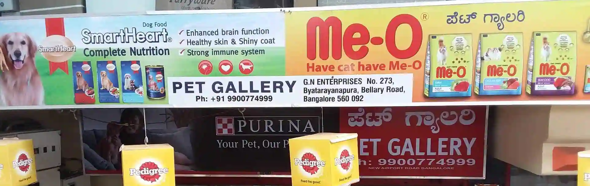 Pet Gallery - Amruthahalli - Bengaluru Image