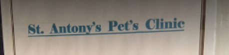 St. Antonys Pet Clinic And Pet Shop - Electronic City - Bengaluru Image