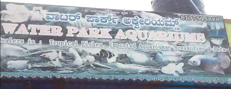 Water Park Aquarium - Vishwaneedam - Bengaluru Image