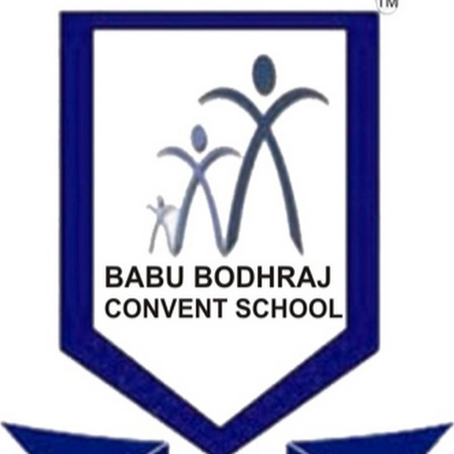 Babu Bodhraj School - Chiti - Noida Image