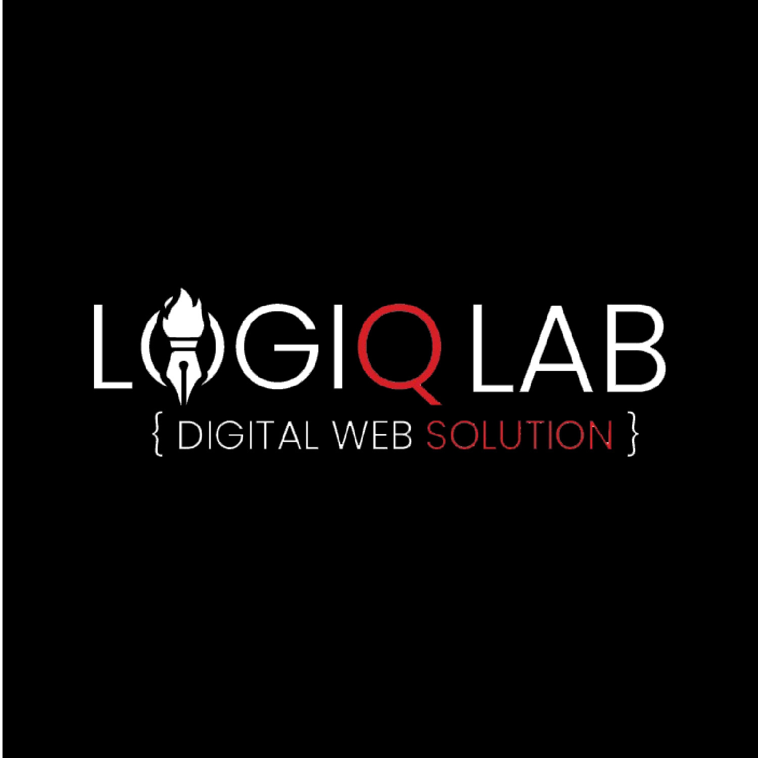 LogiQ Lab Image