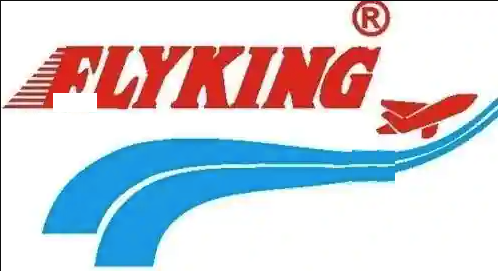 Flyking Courier Services Private Limited - Hillcart Road - Siliguri Image