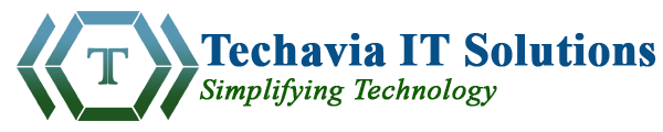 Techavia IT Solutions Image