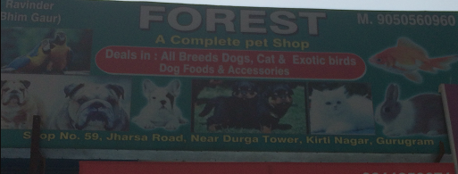 Forest A Complete Pet Shop - Sector 15 - Gurugram Image