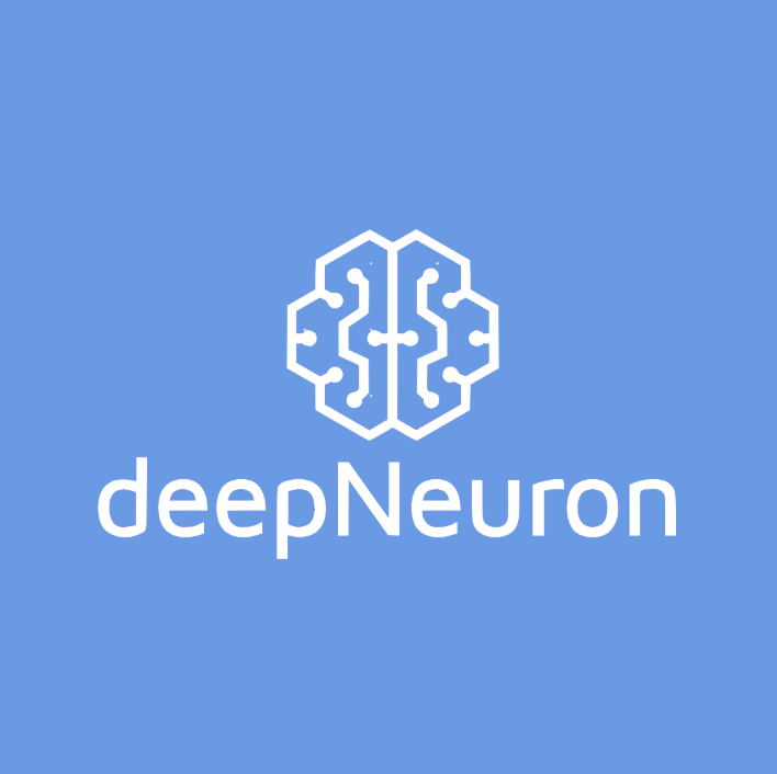 Deep Neuron Image