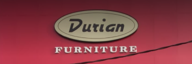 Durian Industries Limited - Kirti Nagar - Delhi Image