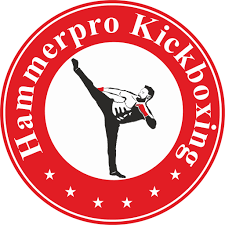 Hammer Pro Kickboxing - Koyambedu - Chennai Image