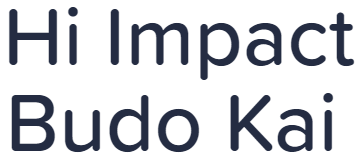 Hi Impact Budo Kai - Anna Nagar West - Chennai Image