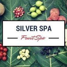 Silver Spa - Sarthana - Surat Image