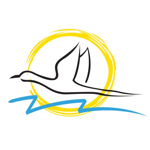 Flamingo Transworld Private Limited - Nizampura - Vadodara Image