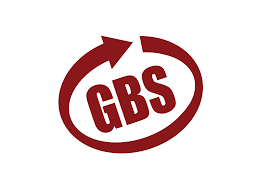 Gbs Systems & Services Private Limited - KK Nagar - Chennai Image