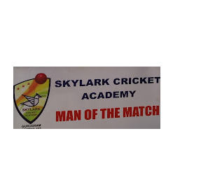 Skylark Cricket Academy - Kherki Majra - Gurugram Image