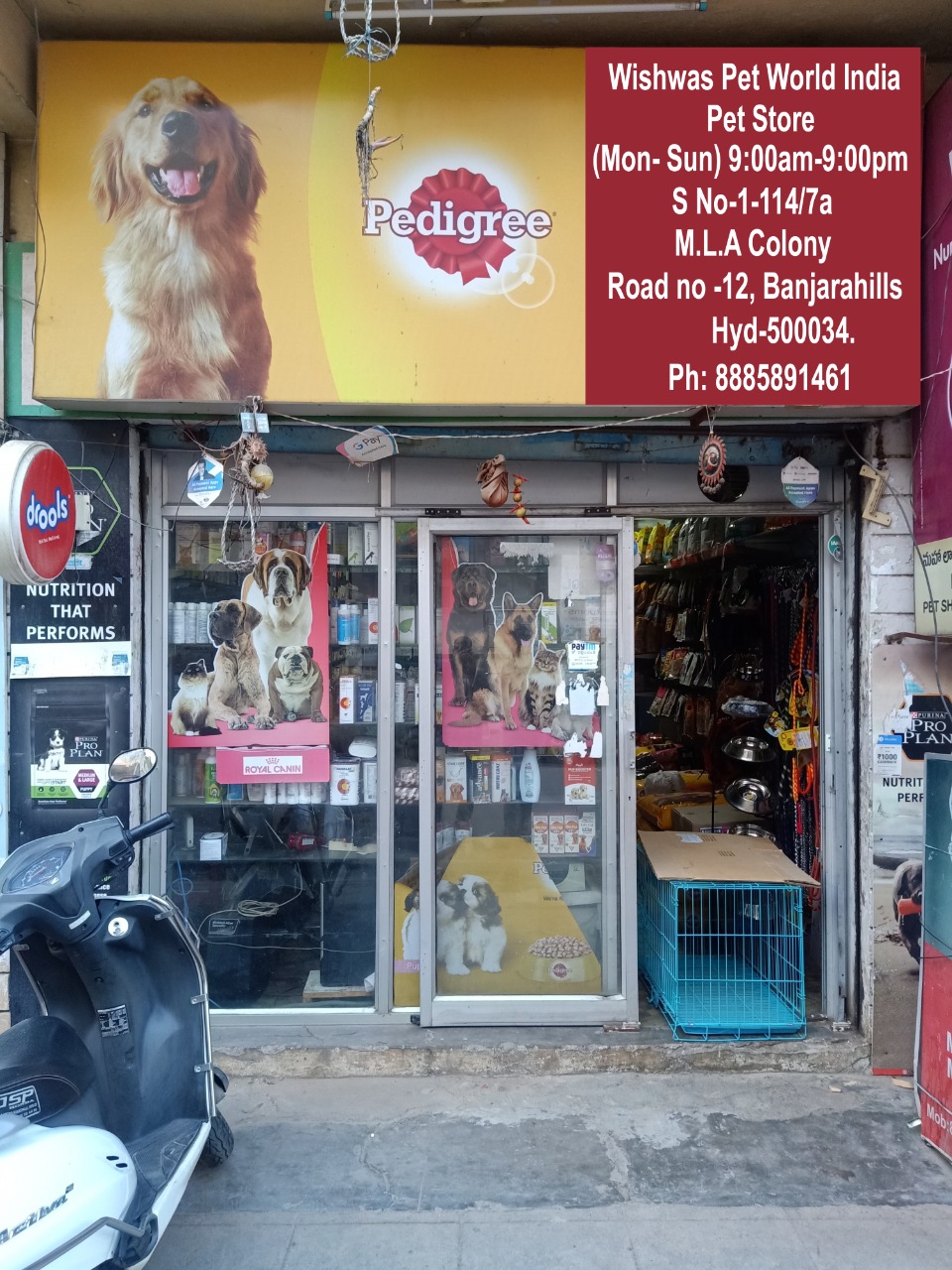 Wishwas Pet World India - Banjara Hills - Hyderabad Image