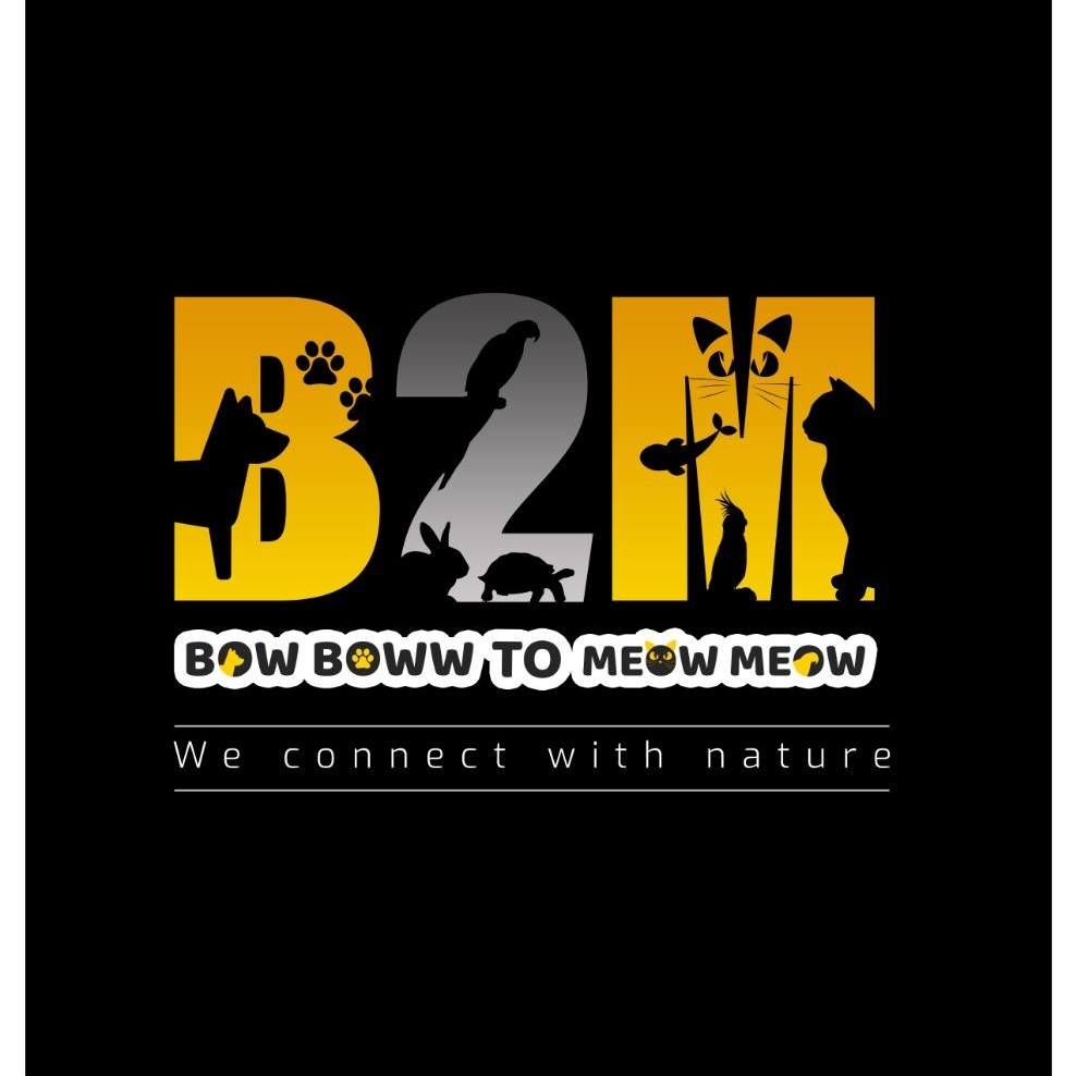 Bow Boww To Meow Meow - Kukatpally - Hyderabad Image