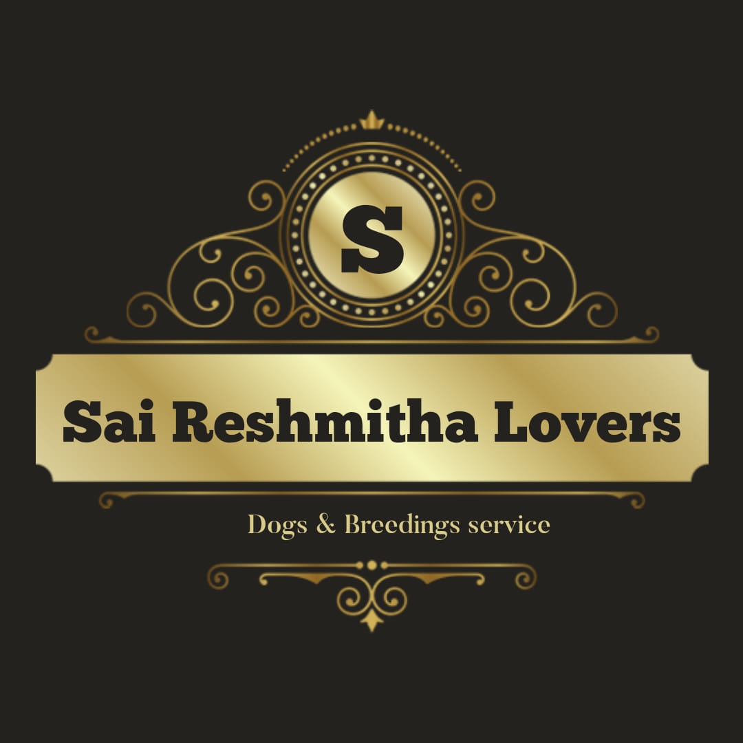 Sai Reshmitha Dog Walking At Your Home - Begumpet - Hyderabad Image