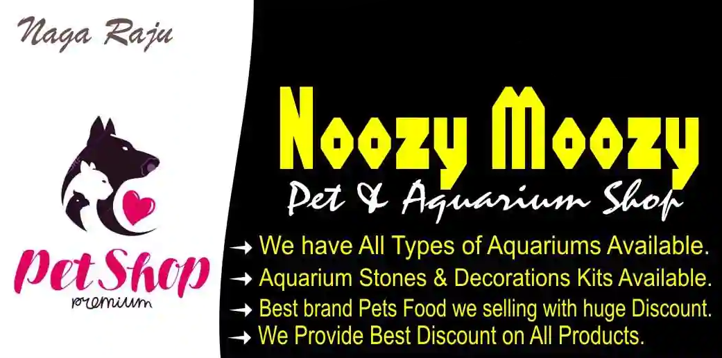 Noozy Moozy Pets Aquarium - Moosarambagh - Hyderabad Image