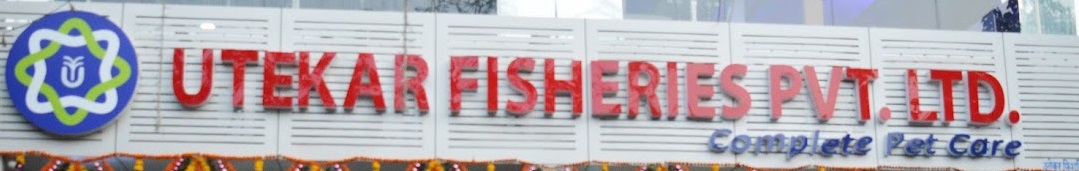 Utekar Fisheries Private Limited - Borivali East - Mumbai Image