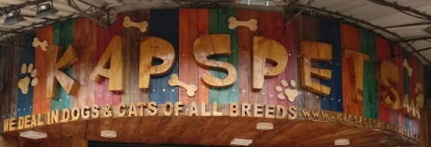 Kaps Pets - Vashi - Navi Mumbai Image