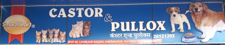 Castor & Pullox Pets Shop - Vile Parle East - Mumbai Image