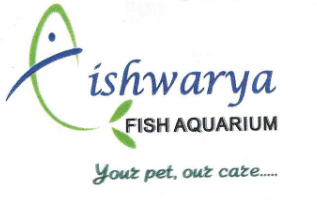 Aishwarya Fish Aquarium - Ghansoli - Navi Mumbai Image