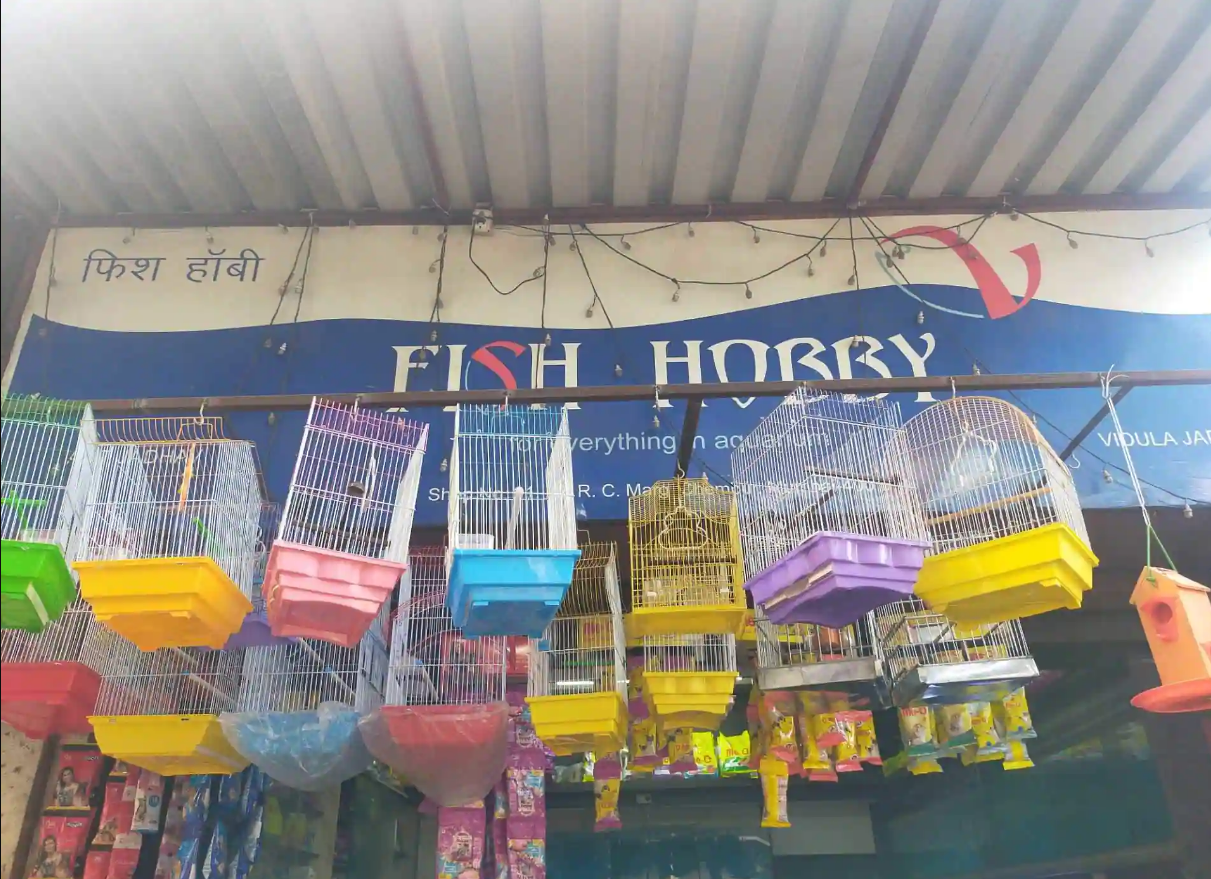 Fish Hobby - Chembur East - Mumbai Image