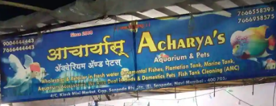 Acharya's Aquarium & Pets - Sanpada - Navi Mumbai Image