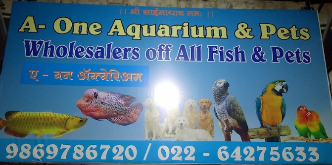 A 1 Aquarium - Borivali East - Mumbai Image