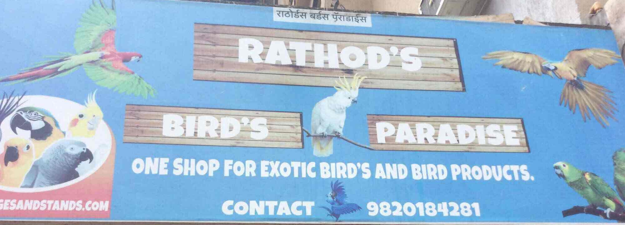 Rathods Birds Paradise - Goregaon West - Mumbai Image