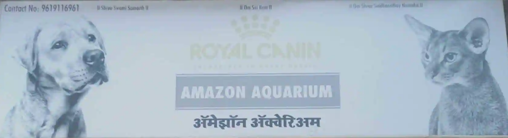 Amazon Aquarium - Kopar Khairane - Navi Mumbai Image