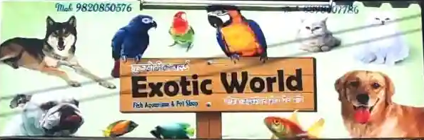 Exotic World Pet Shop - Khar West - Mumbai Image