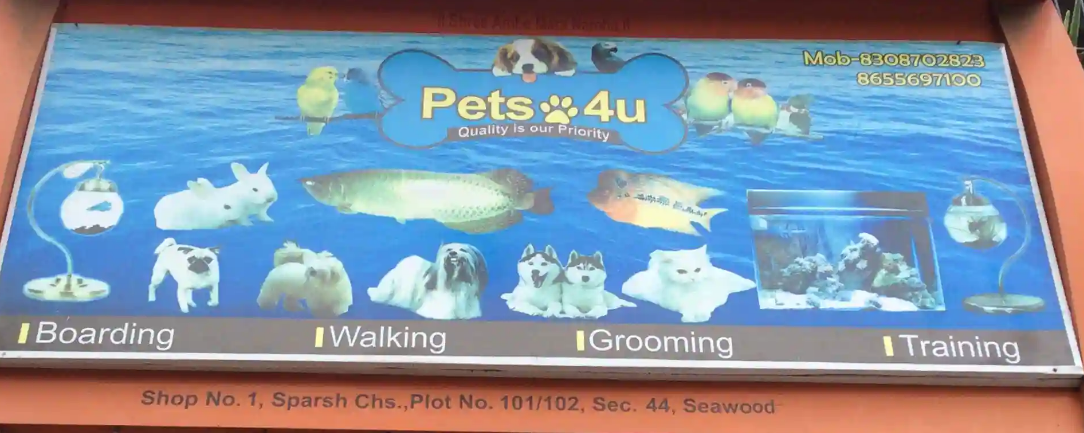 Pets 4 U - Seawoods - Navi Mumbai Image