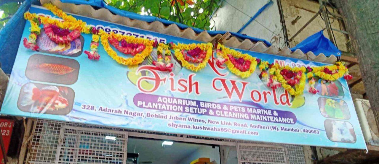 New Fish World - Andheri West - Mumbai Image