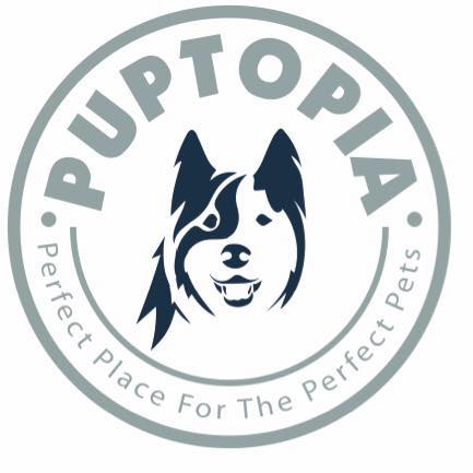 Puptopia - Powai - Mumbai Image