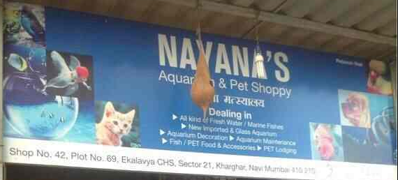 Nayanas Aquarium & Pet Shoppy - Kharghar - Navi Mumbai Image