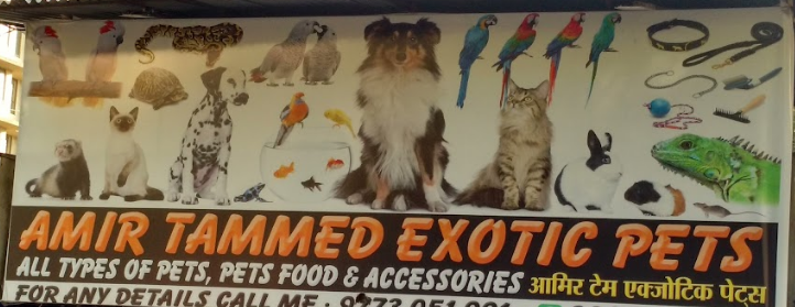 Amir Tammed Exotic Pets - Ghatkopar West - Mumbai Image