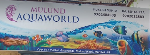 Mulund Aqua World - Mulund East - Mumbai Image