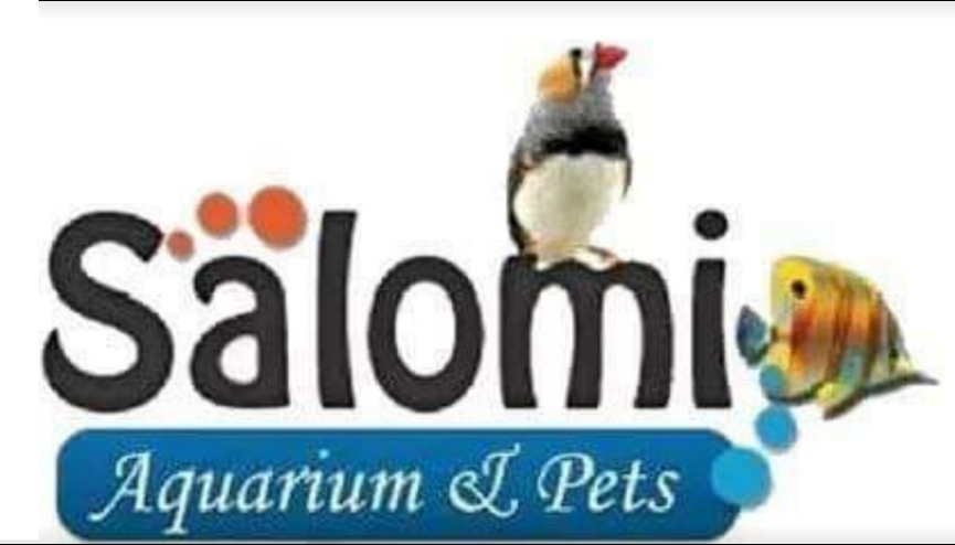 Salomi Aquarium & Pets - Matunga East - Mumbai Image