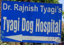 Tyagi Dog Hospital - Ganga Nagar - Meerut Image