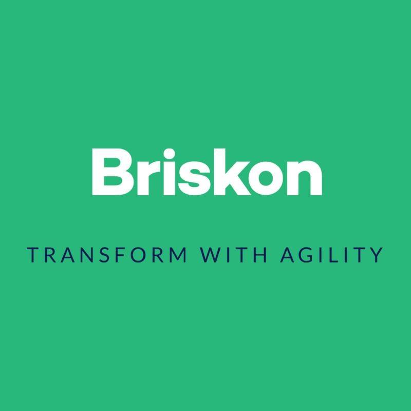 Briskon Technologies Image