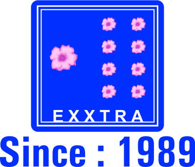 Exxtra Institute For English & Personality Development - C. G. Road - Ahmedabad Image