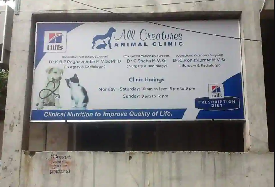 All Creatures Animal Clinic - East Marredpally - Hyderabad Image