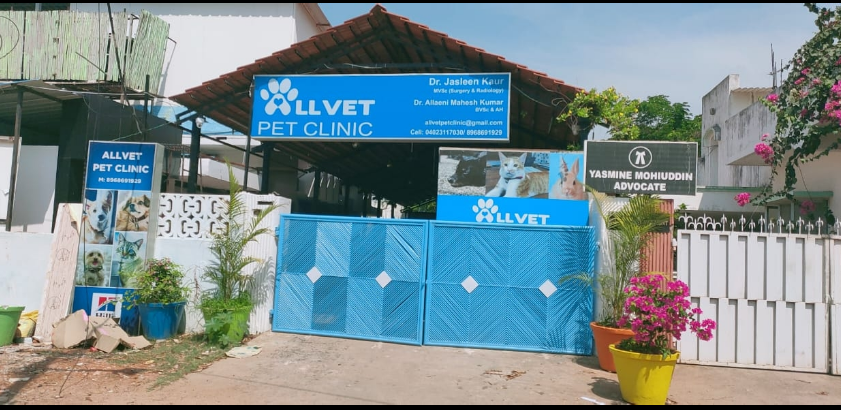 Allvet Pet Clinic - Banjara Hills - Hyderabad Image