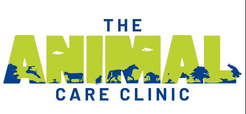 Animal Care Clinic - Banjara Hills - Hyderabad Image