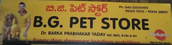 Bg Pet Clinic & Pet Store - Chanda Nagar - Hyderabad Image